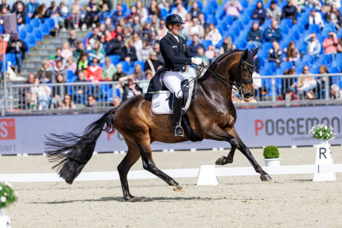Covalliero Dressage Days 2026 - PSI Events
